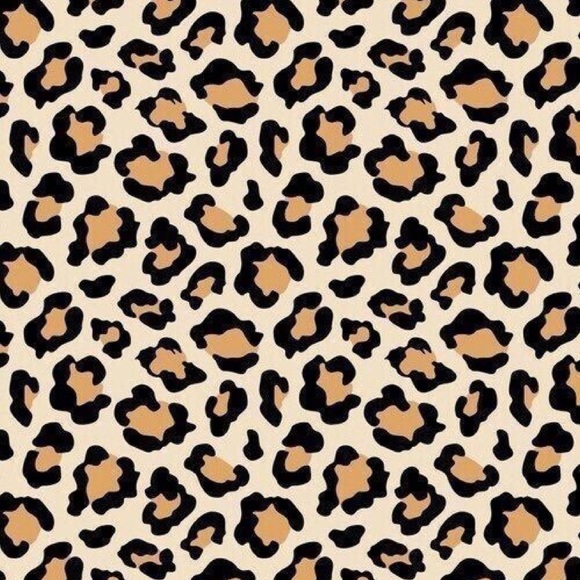 Meet your Posher, Cali - Picture 1 of 1